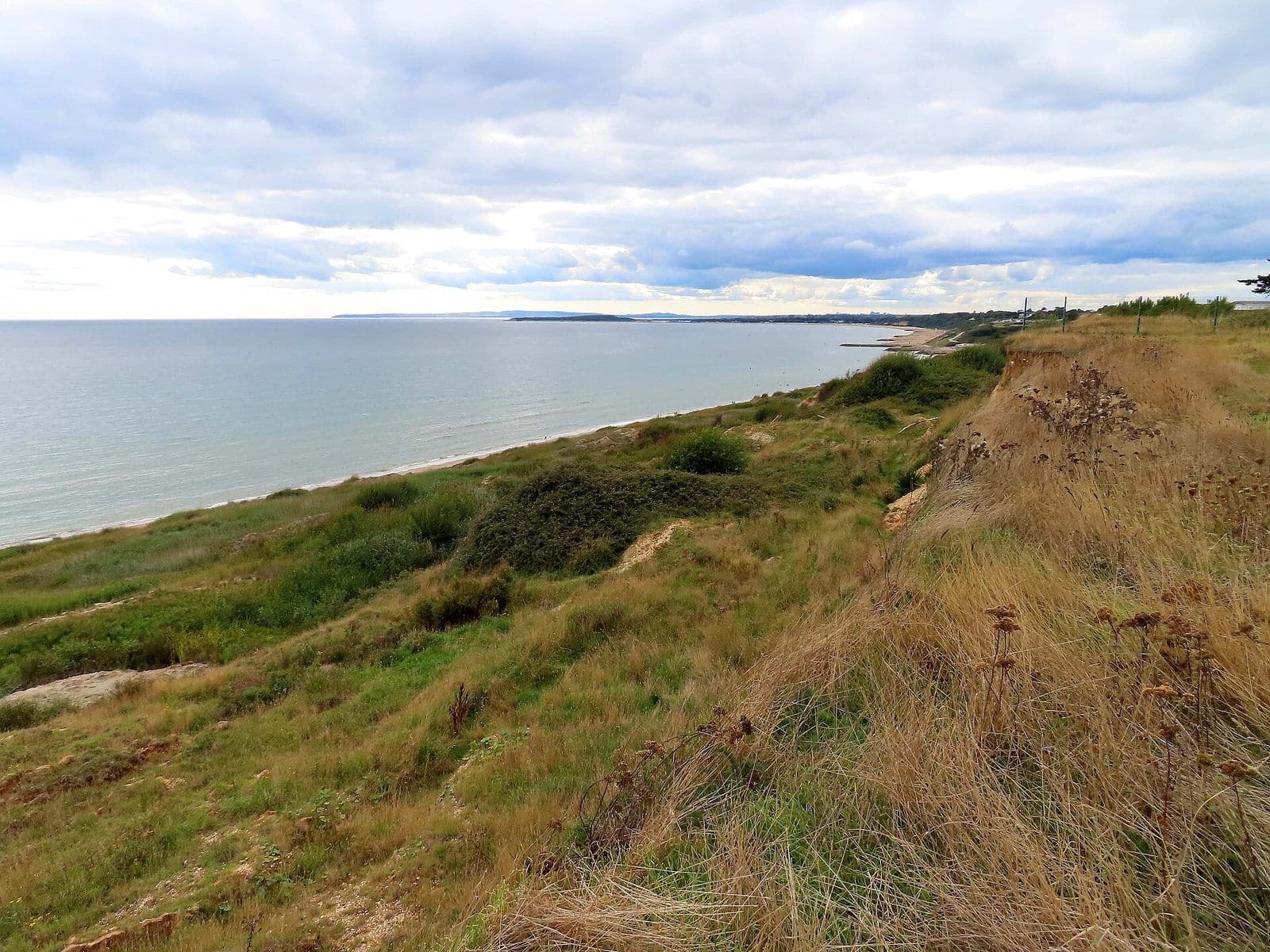 Grassy cliff top at Barton on Sea looking along the coast towards Christchurch Bay